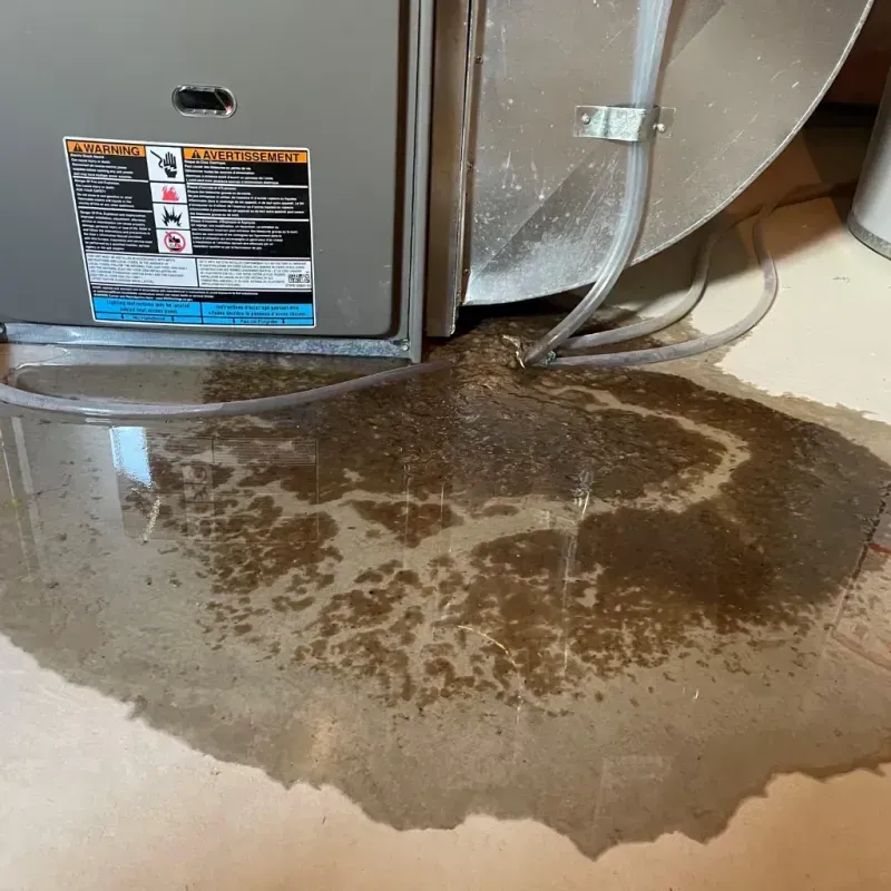 Appliance Leak Cleanup in Forreston, IL